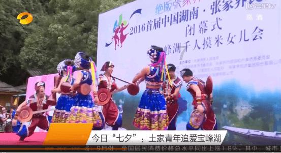 逃离仿真森林